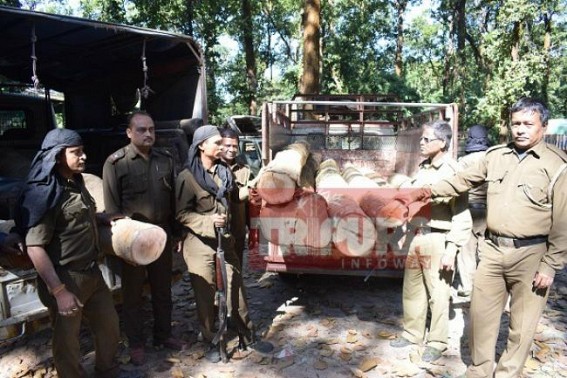 Forest Dept seized woods worth Rs. 2 lakhs